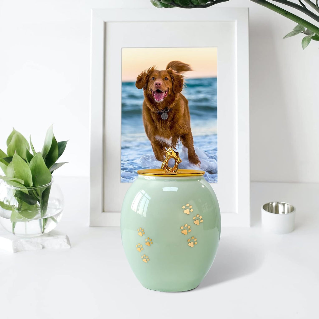 Pet Memorial Medium Urns for Dog and Cat Ashes, Rainbow Bridge