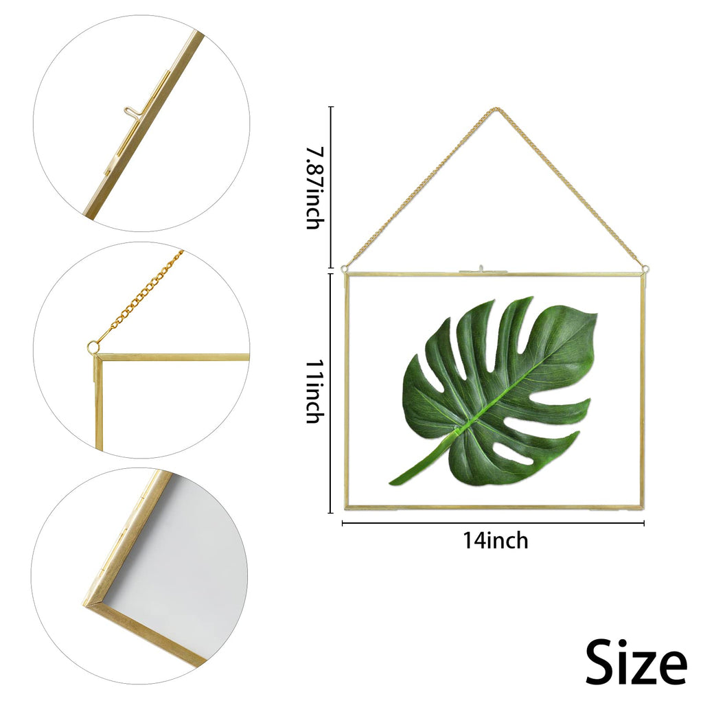 11x14 Inch Pressed Flowers Glass Picture Frames for Artwork Certificate, Horizontal Gold Brass Double Glass Clip