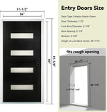 Fiberglass Exterior Door 36" x 80" with Frosted Glass and Brickmould, Left-Hand Inswing Front Door, Black Finish