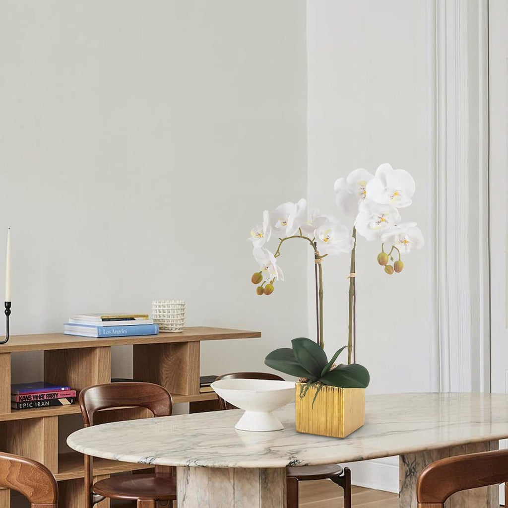 Artificial Orchid Flowers Potted in Ceramic Pot, White Faux Phalaenopsis Orchids for Table Centerpiece, Realistic
