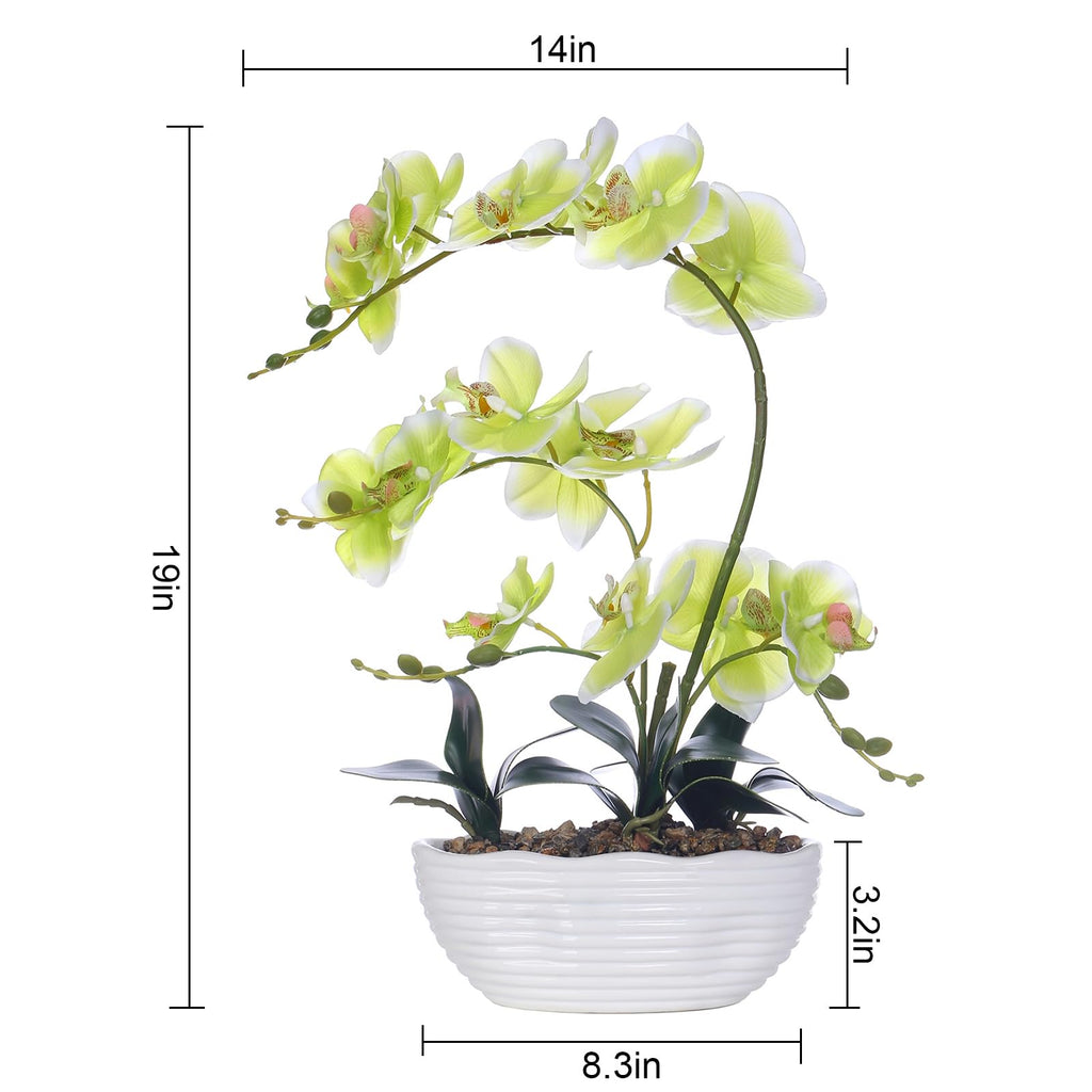 Large Silk Orchid in Wave Pot 19" Phalaenopsis Plant for Table, Apple Green