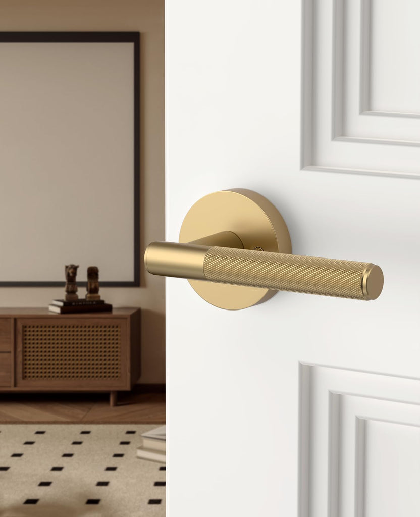 2 Pack Champagne Bronze Dummy Interior Door Handles