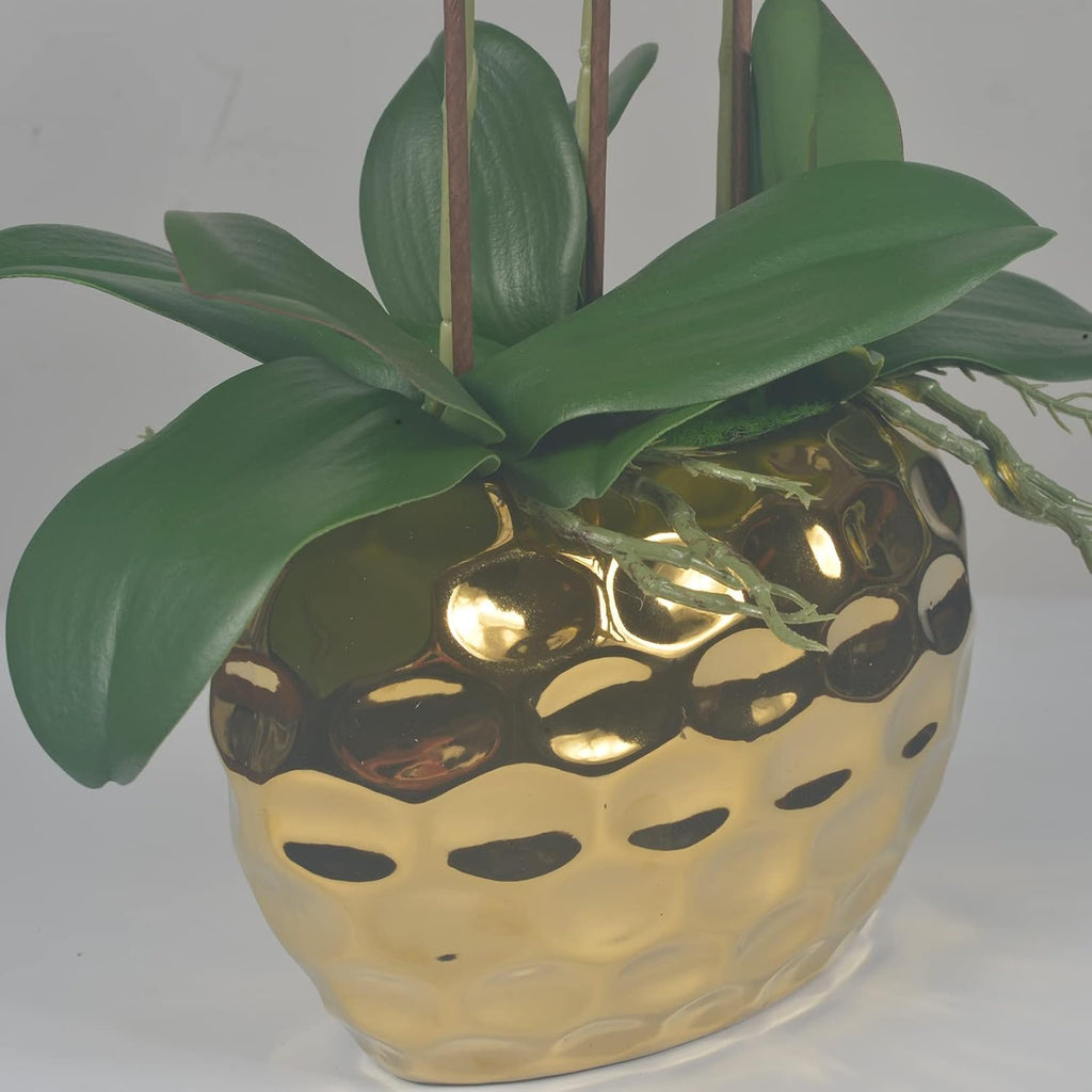 Artificial Orchid Plants & Flowers Arrangement in Ceramic Pot, Fake Faux White Orchid with Gold Vase, Realistic