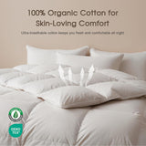 Feather and Down Fibres Comforter Queen - 100% Organic Cotton, Quill-Free & Ethical