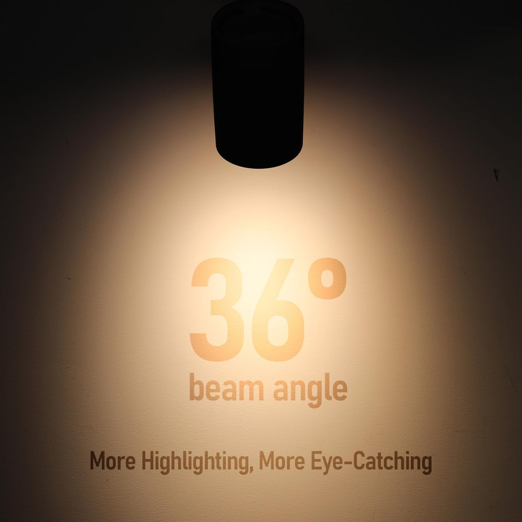 Studio Series 8.5W H Track Lighting Heads, 5CCT, Black
