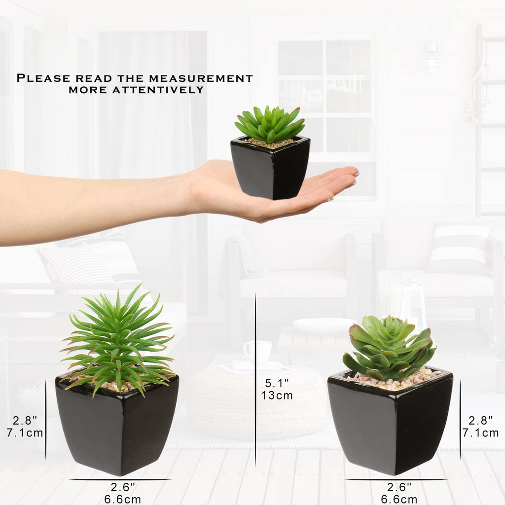 Small Succulents Artificial 3 Pcs Faux Succulents in Pots Fake Succulent Plants with Black Ceramic Pots for Modern