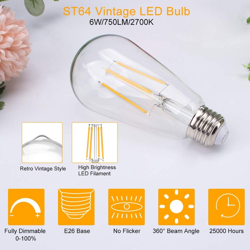 12 Pack Dimmable Vintage LED Edison Bulb, 6W Equivalent 60W LED Edison Bulb Warm White 2700K Antique Led Vintage