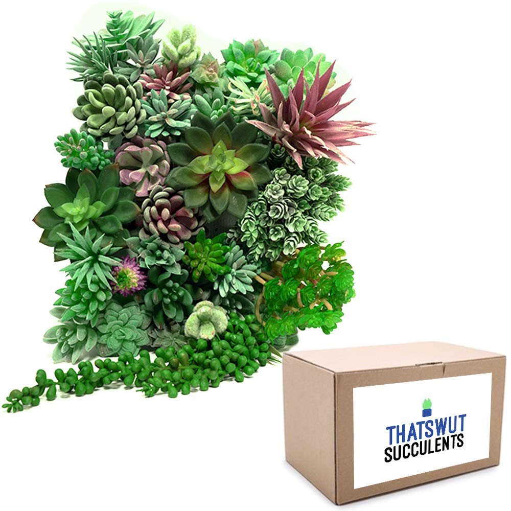 35 Pack Bulk Large Assorted Realistic Artificial Faux Succulents Aloe Plants Realistic Fake Succulent Plants, Largest