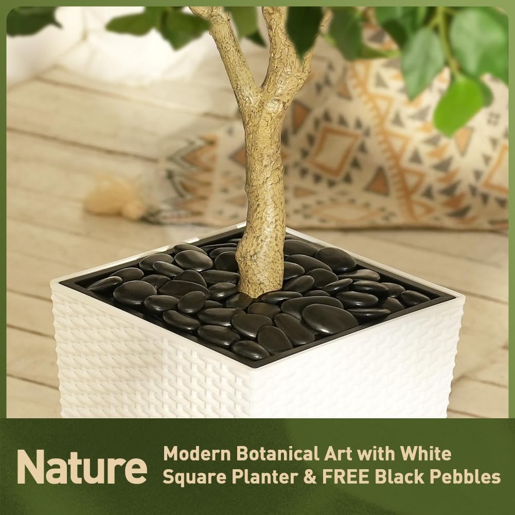 6FT Artificial Ficus Tree with White Taper Planter & Pebbles- Tall Faux Trees with UV Resistant Silk Leaves Outdoor
