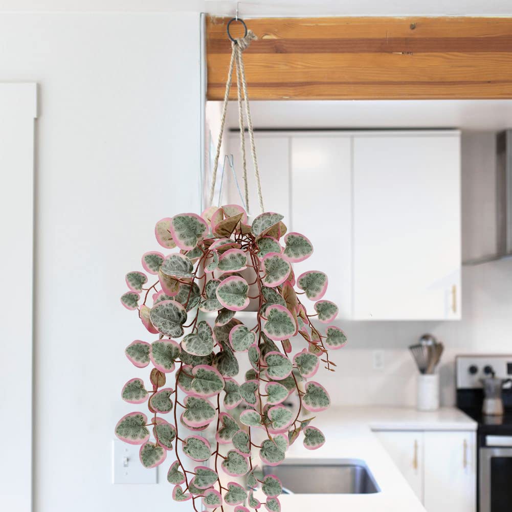 Pink Fake Variegated String of Hearts Plant in White Ceramic Pot