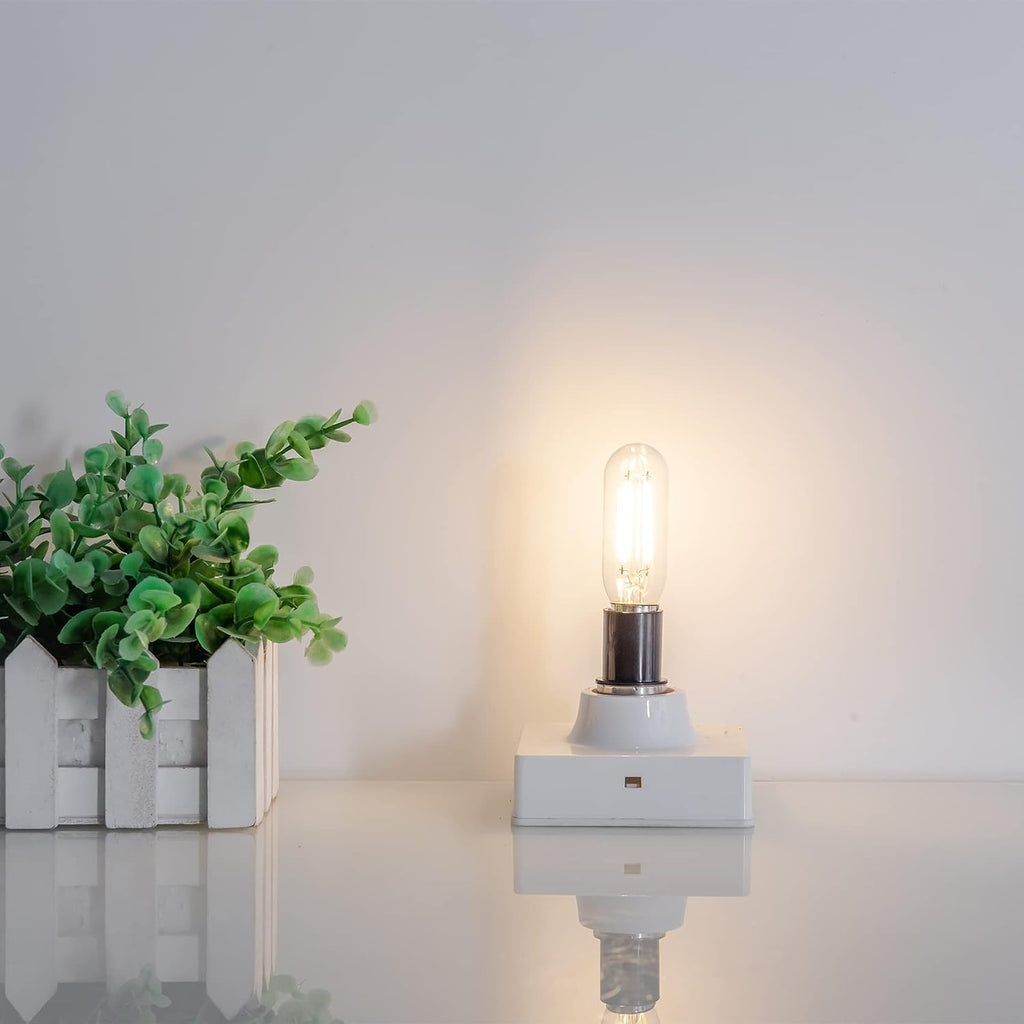 E12 Edison Bulb 25 Watt Equivalent Candelabra Light Bulbs, 12 Pack