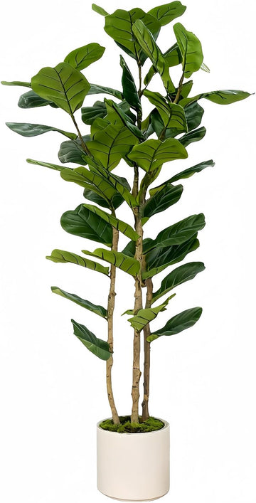 Artificial Fiddle Leaf Fig Tree 6FT with White Tall Planter-Large Faux Tree Tall Fake Floor Plant in Pot,Artificial - Set of 3