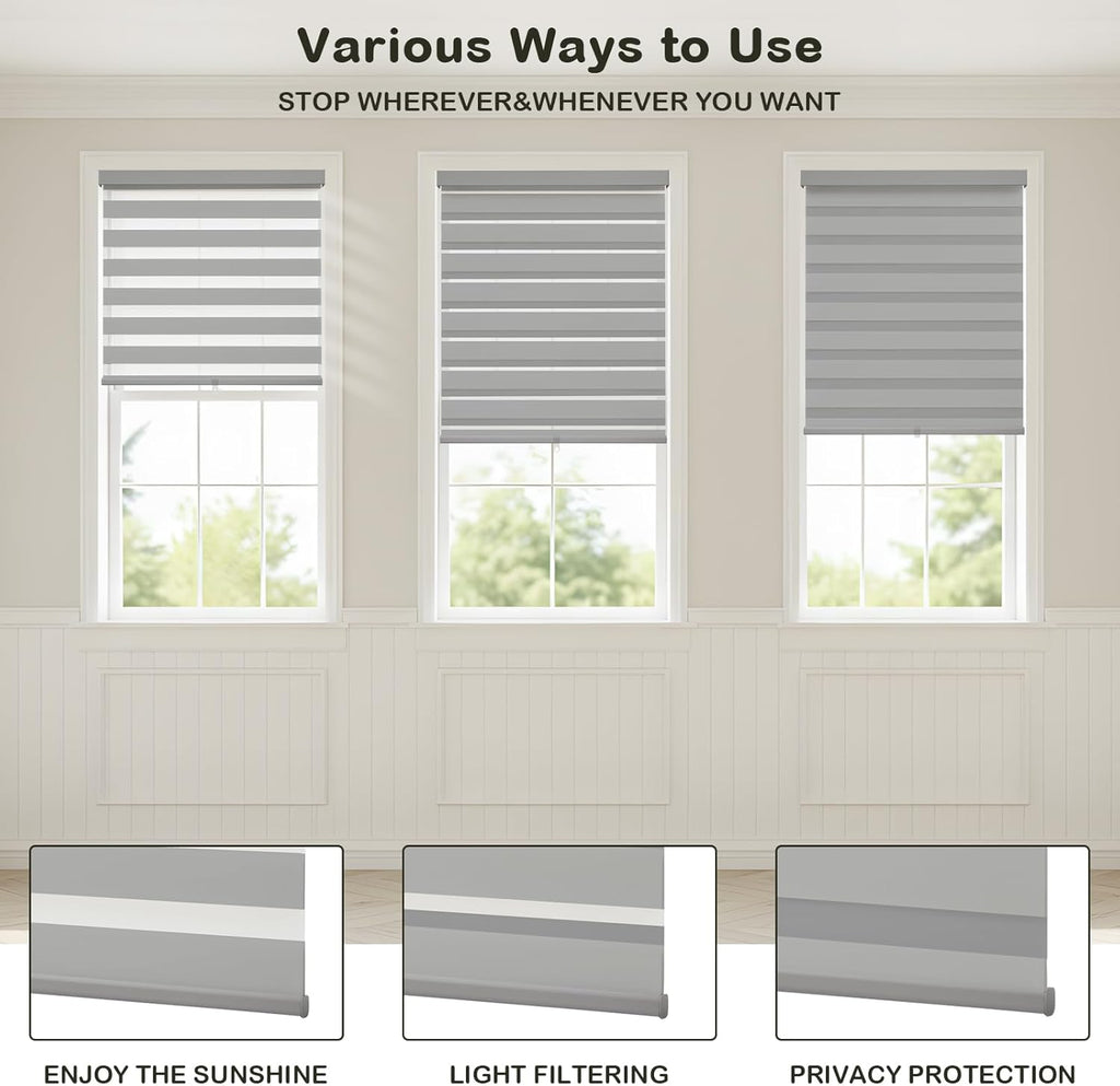 Cordless Zebra Blinds for Windows,Free-Stop Roller Zebra Shades,Light Filtering Blinds for Indoor windows with Upgraded Cassette,Pull Down Privacy Window Shades for Home (25" W x 72" H, Ivory)