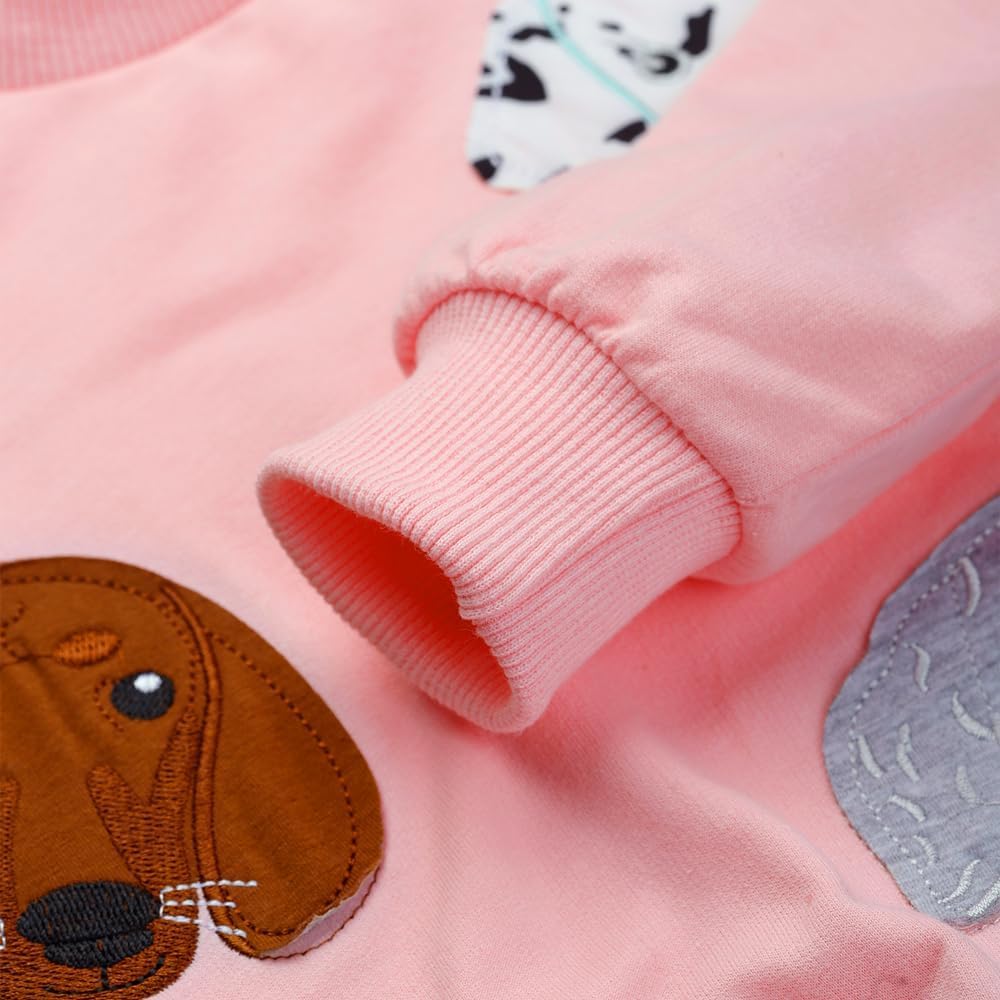 Toddler Baby Girls Sweatshirts Crewneck Pullover Long Sleeve Shirts Tops Girl Fall Winter Clothes