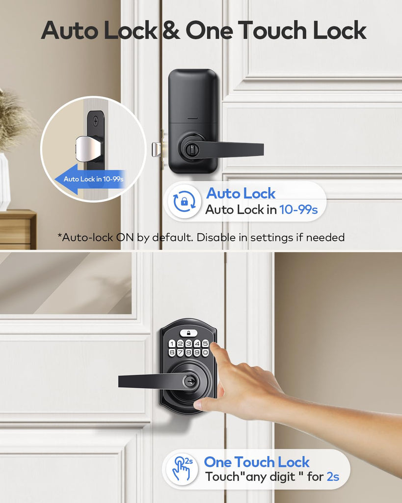Keyless Entry Door Lock Handle with Keypad, Matte Black