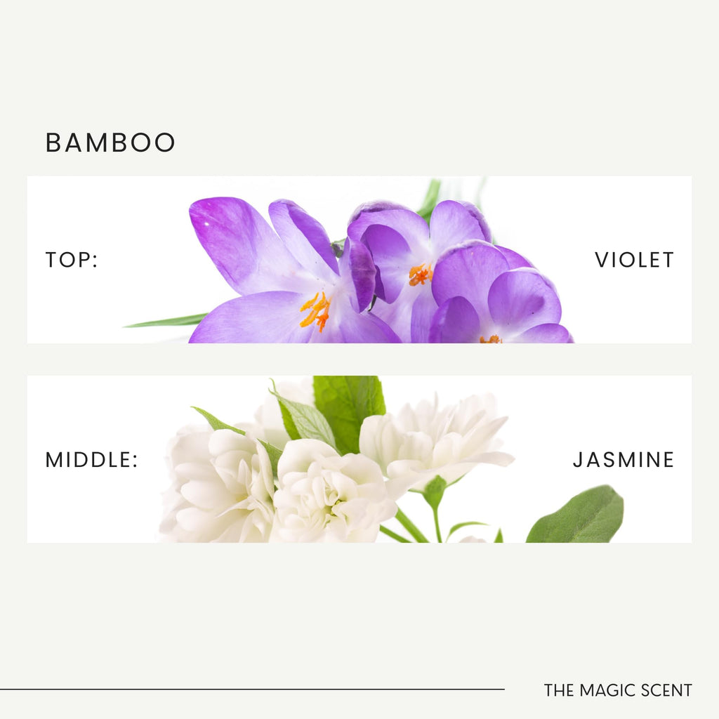 Bamboo Diffuser Oil Scents, 16.9 Fl Oz Aroma Oil