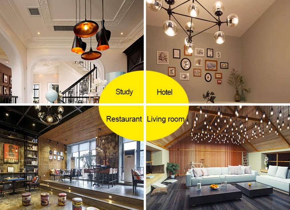 G95 Vintage LED Filament Bulb Dimmable 6W Vintage Edison Light Bulb Long Filament Vintage LED Light,G30/G95