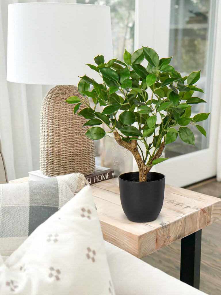 Artificial Tree, 17'' Ficus Bonsai, Premium Faux Planted Potted Decor Table Office Desk Bathroom Bedroom Living Room