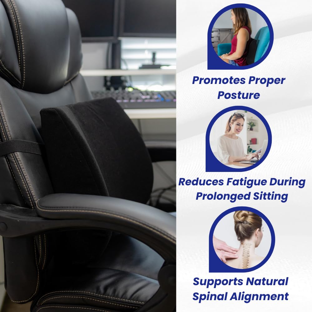 Back-Huggar - Traditonal/Regular Style - The Original Lumbar Cushion - Black