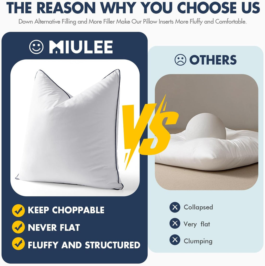 20x20 Pillow Inserts, Fluffy Down Alternative Filling - Set of 2