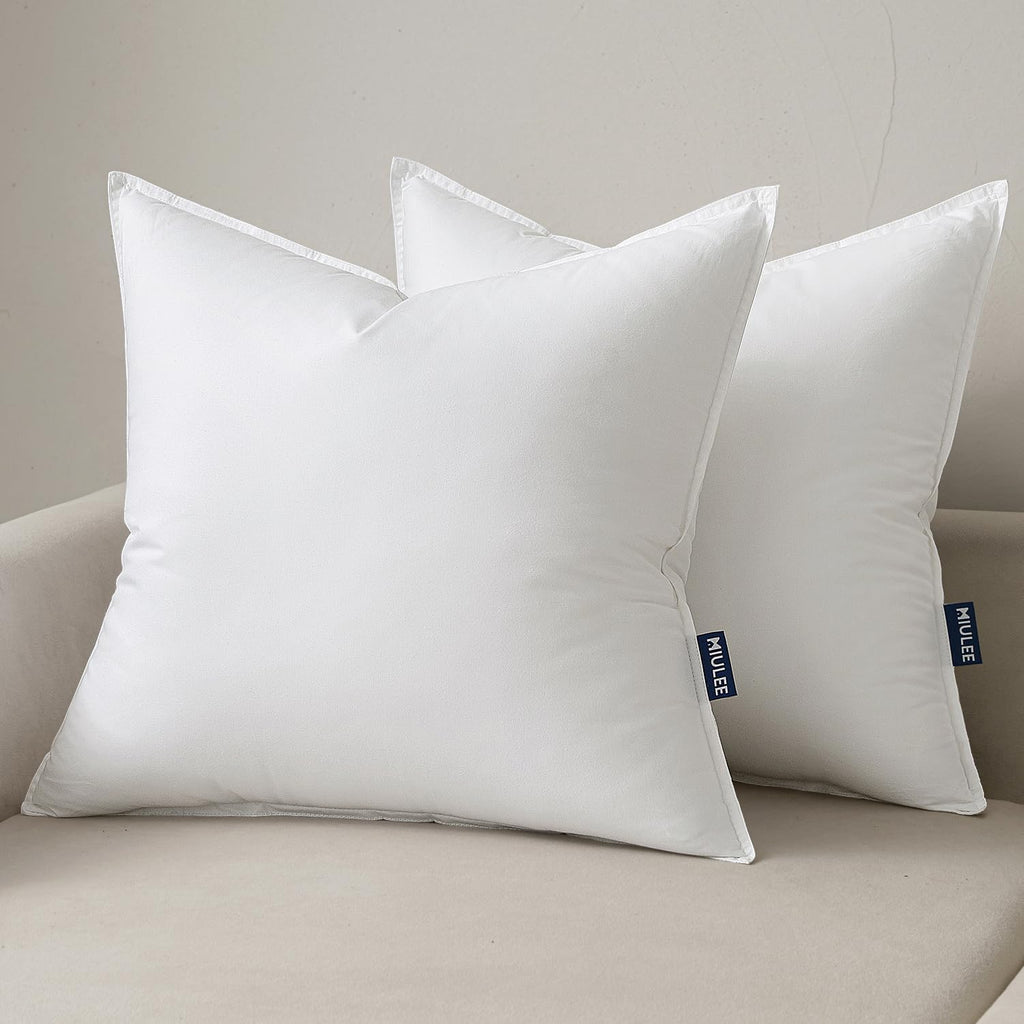 20x20 Throw Pillow Inserts Decorative Pillow Inserts - Set of 2