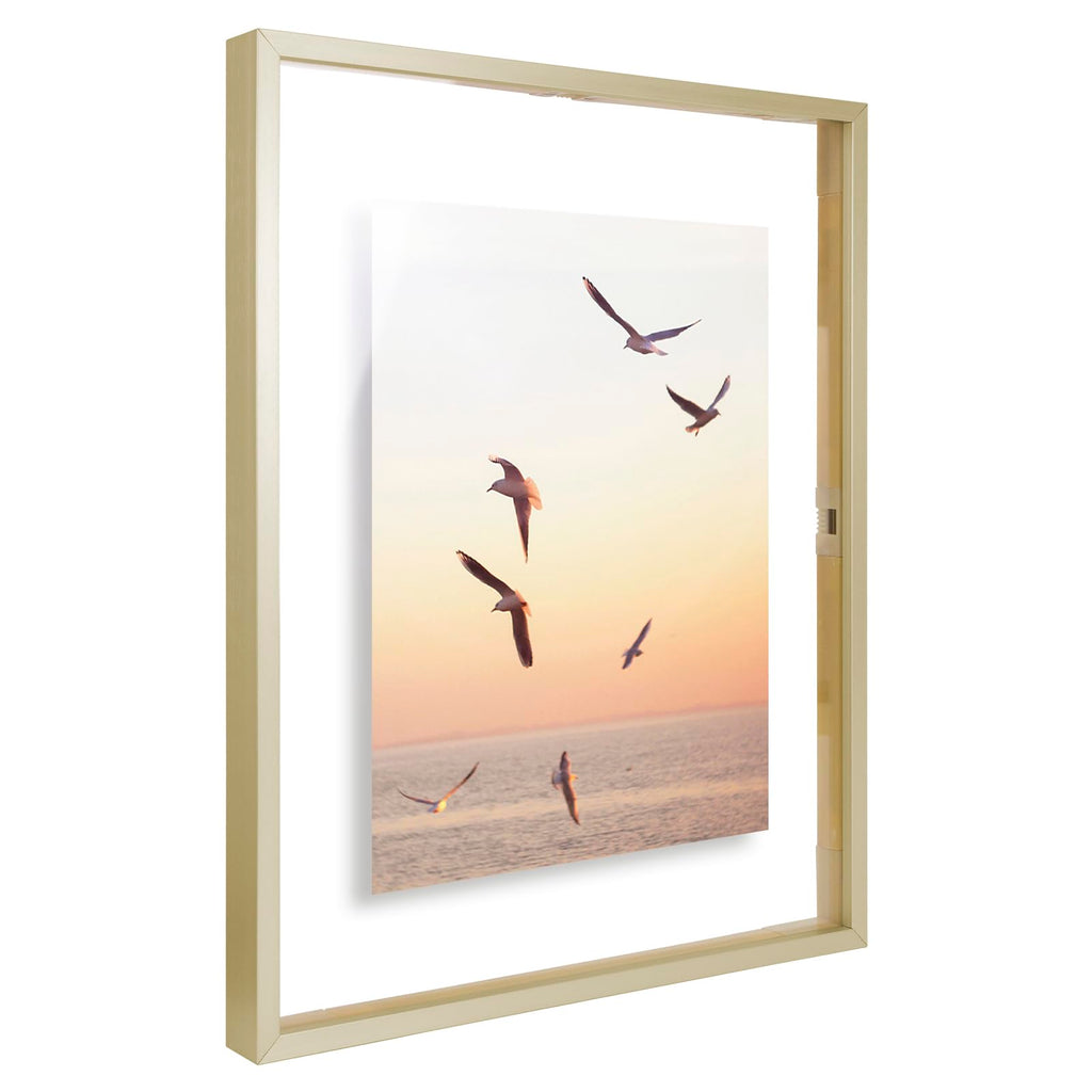 2 Pack 11x14 Gold Metal Floating Picture Frame Real Glass