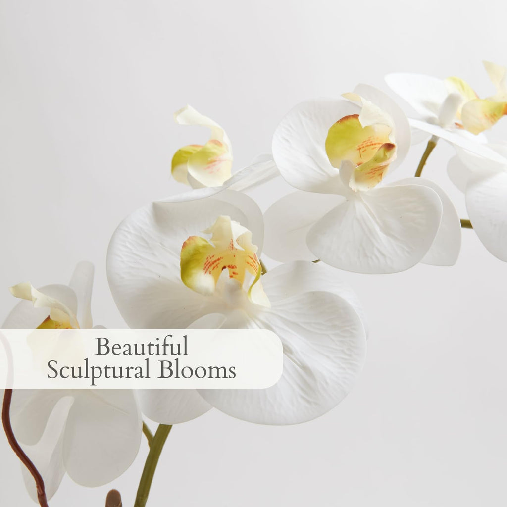 Faux White Orchid Plant, 25 in, Grey, Home Decor