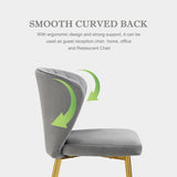 Velvet Dining Chairs Set of 4, Upholstered Dining Room Chairs with Gold Metal Legs, Mid-Century Modern Style, Grey