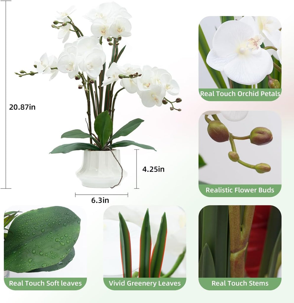 Artificial Orchid Flower Plant 20.9'' Real Touch Faux Orchids in Ceramic Vase White Fake Phalaenopsis Flower