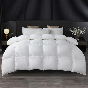 Fluffy Down Alternative Comforter, All Season Duvet Insert Lightweight Bed Comforter Insert White Baffle Box Stitched