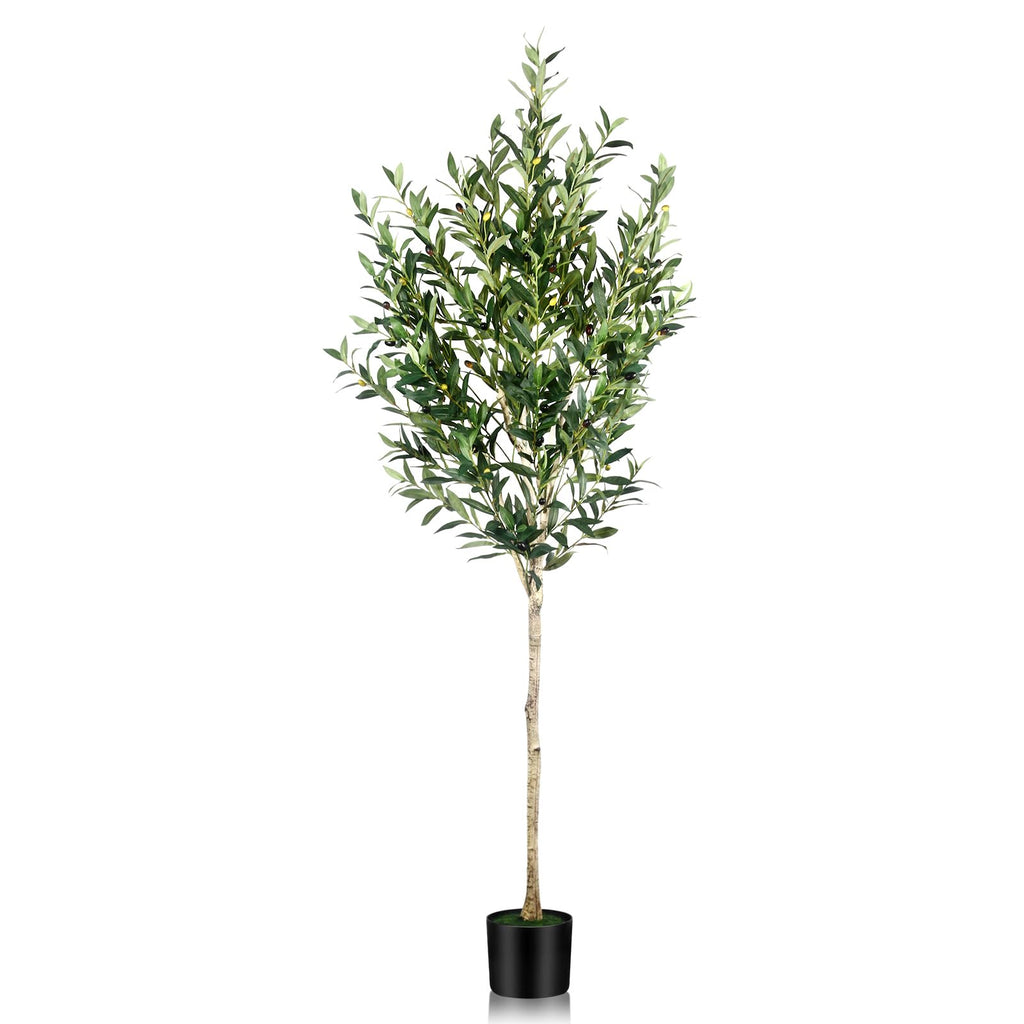 6FT Olive Tree Artificial Indoor - Tall Faux Olive Tree with Wood Trunk and Lifelike Fruits - Fake Plants in Pot