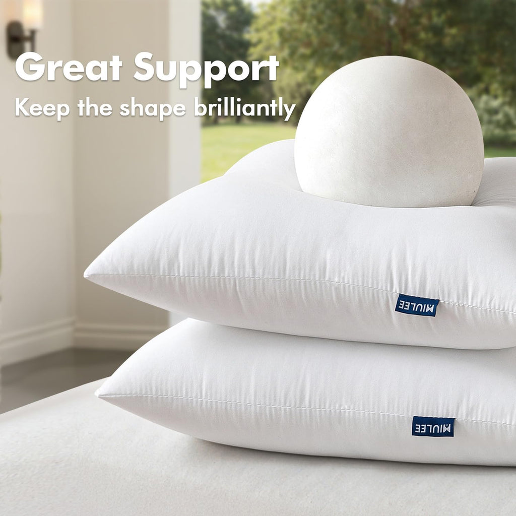 18x18 Inch Outdoor Pillow Inserts - Set of 2