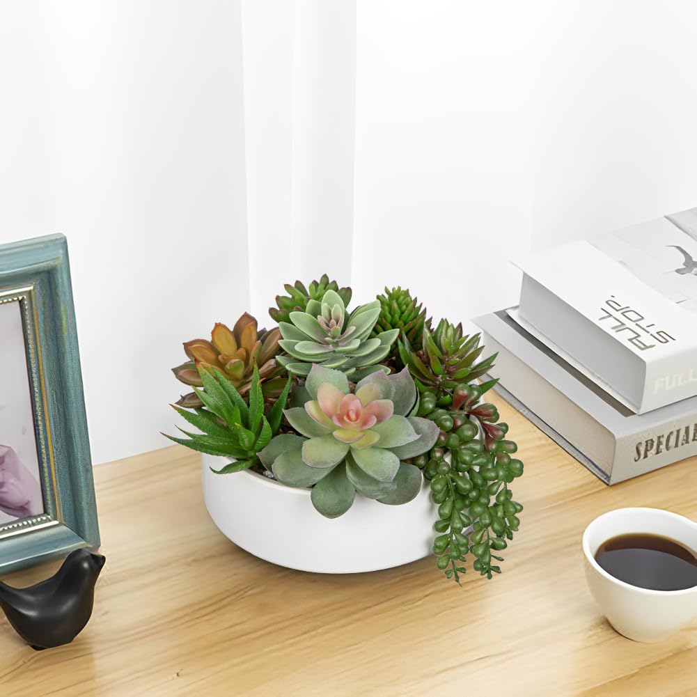 Artificial Succulent Plants in Pot 5.5 Inch Fake Succulents Arrangement