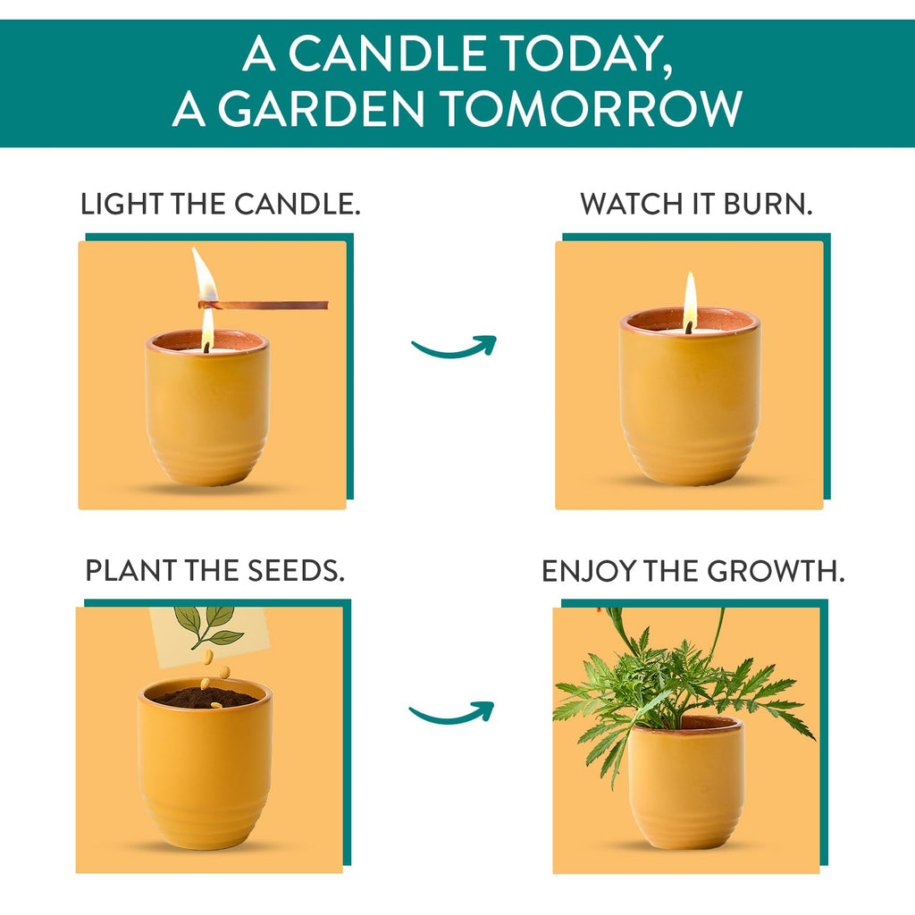 Garden Vibes - 6oz Soy Wax Candle and Planter - Last Light