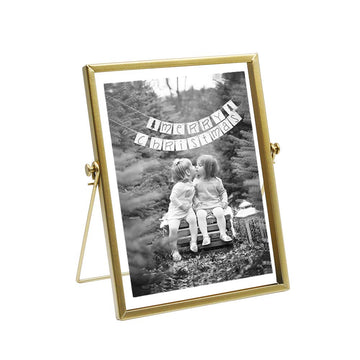 Gold Picture Frame, 4 x 6 in Metal Floating Frame with Glass