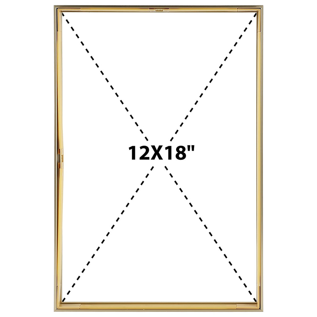 12x18 Gold Aluminum Floating Picture Frame Real Glass