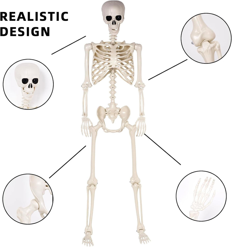 Halloween Skeletons Decorations - 5.4FT Life Size Posable Skeletons, Realistic Plastic Full Body Skeletons Yard Patio