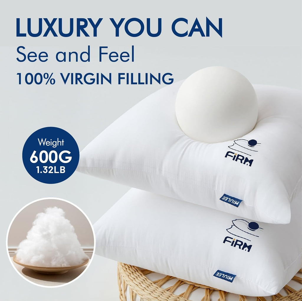 20x20 Throw Pillow Inserts, 100% Virgin Fiber Filling - Set of 2