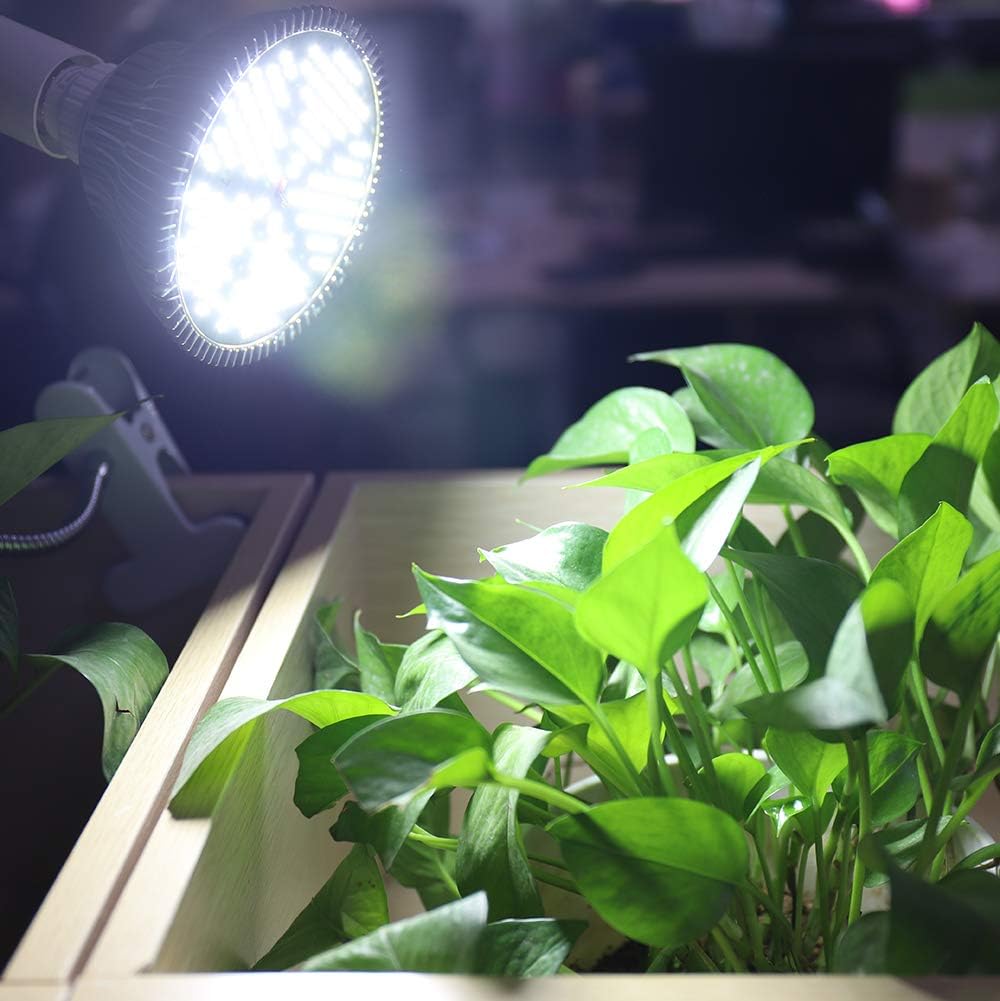 LED Grow Light Bulb for Indoor Plants Full Spectrum Pure White Grow Lamp, 2 Pack 100W E26 LED Plant Bulb