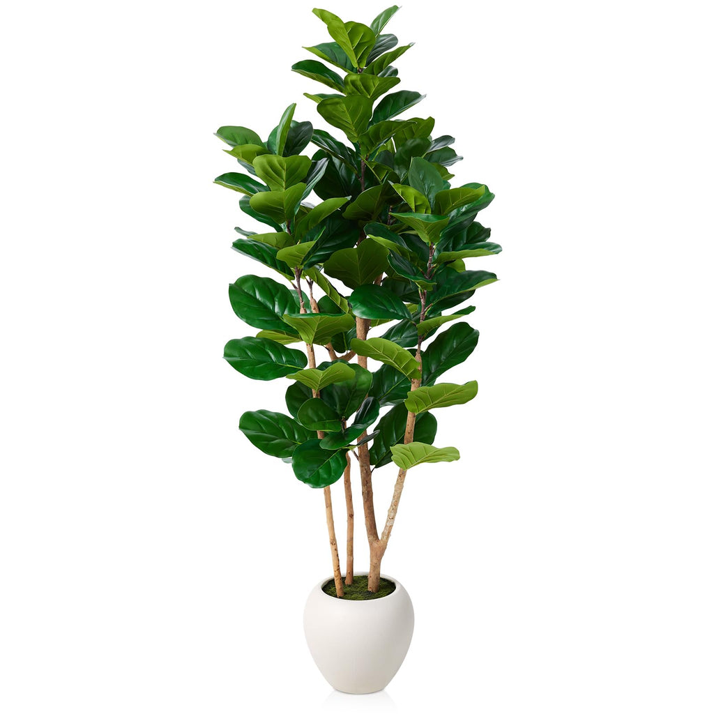 6ft Artificial Fiddle Fig Tree, 3 Real Wood Trunks