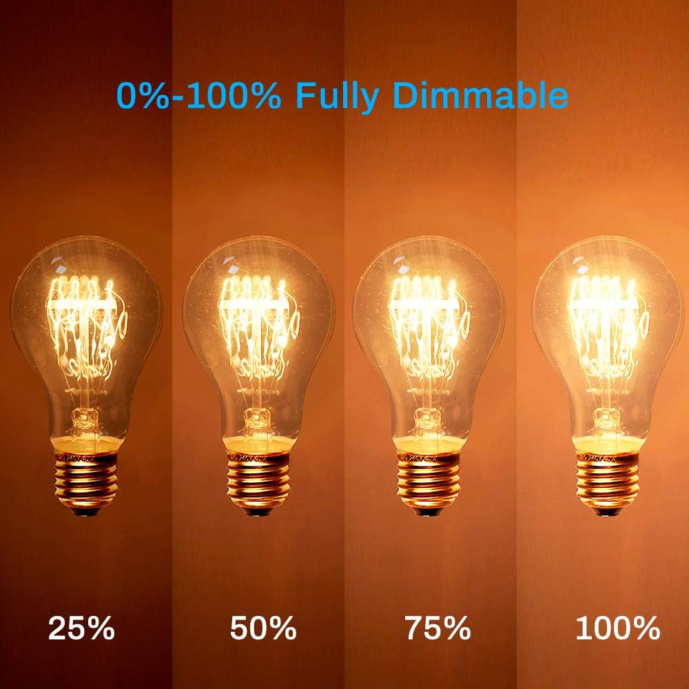 Edison Light Bulb, 60 Watts, A19 Vintage Incandescent Light Bulbs, Dimmable Old Fashioned E26 Incandescent