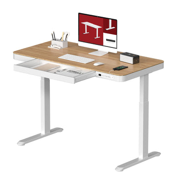 Standing Desk with Drawer, Electric Height Adjustable Home Office Desk with Storage & USB Ports, 48 inch Bamboo
