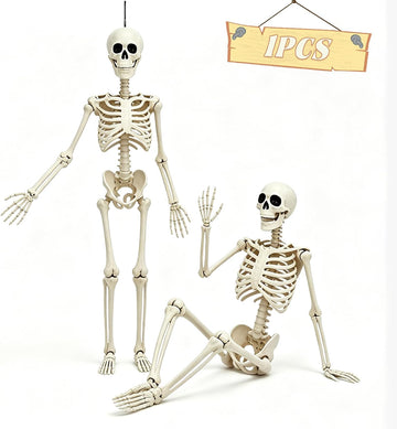 5.75ft Life Size Posable Halloween Skeleton, Movable Joints