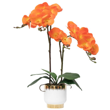 Orchids Artificial Flowers Real Touch Fake Flowers in Ceramic Pot 20" Orange Faux Orchid Plant Lifelike Silk