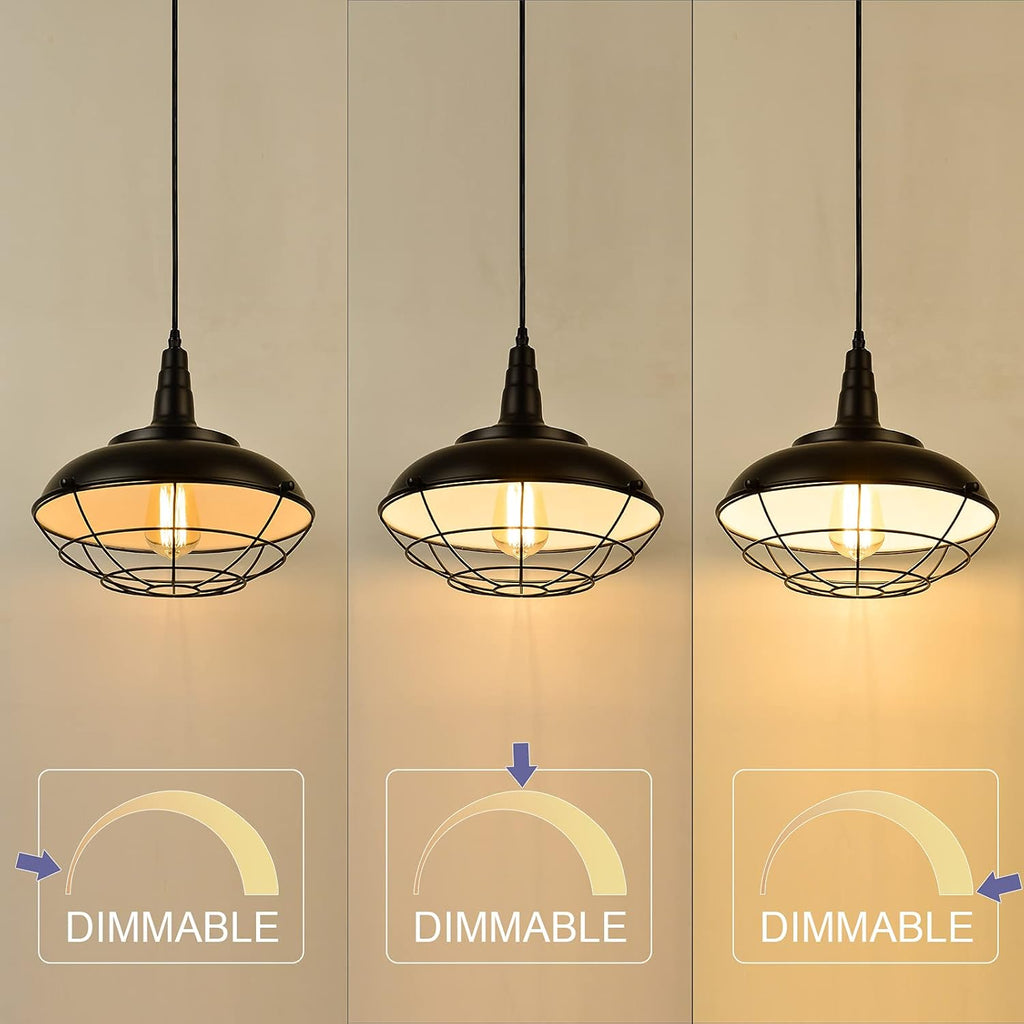 Plug In Hanging Light Fixtures, Black Cage Plug In Pendant Light, Metal Outdoor Chandelier for Gazebo Porch