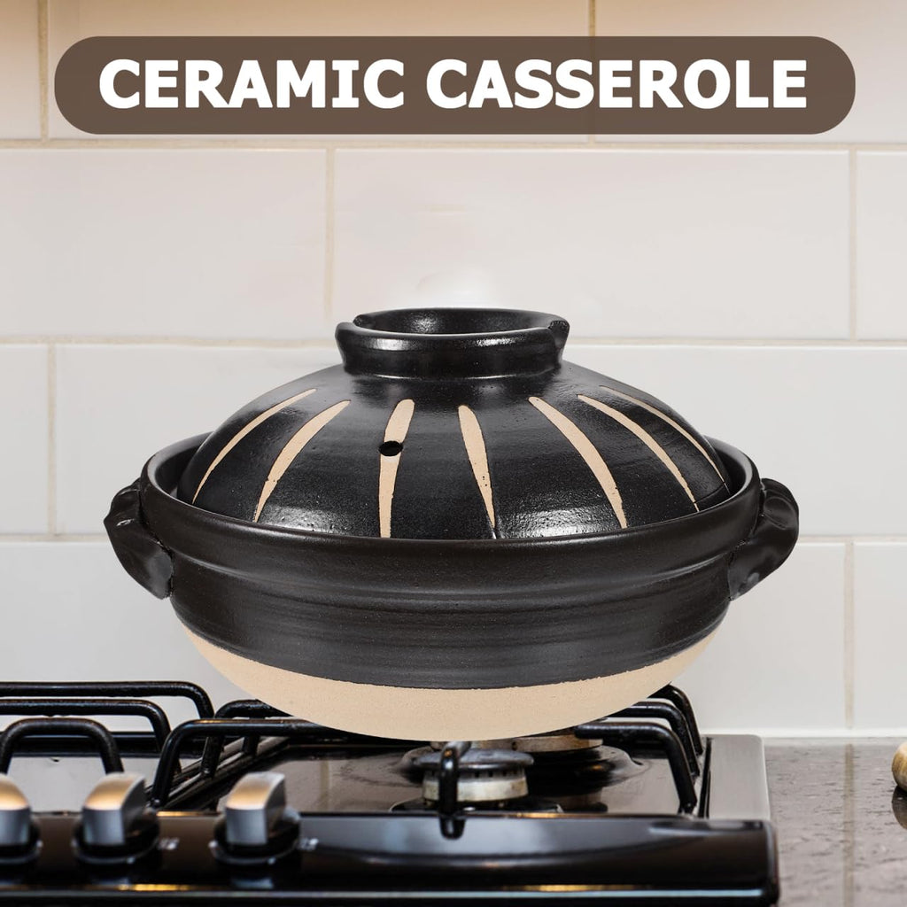 Japanese Donabe Ceramic Hot Pot: Casserole Earthenware Clay Pot Japanese Cooking Donabe Ceramic Casserole Pot Stock