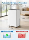 2500 Sq.Ft Dehumidifier for Basement with Drain Hose, 35 Pint Large Best Compressor Dehumidifiers for Home or Garage