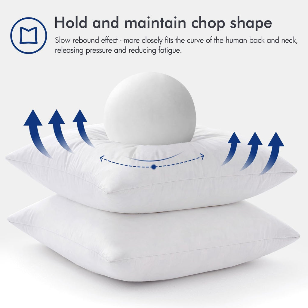 22x22 Pillow Inserts Feather Down Throw Pillows - Set of 2