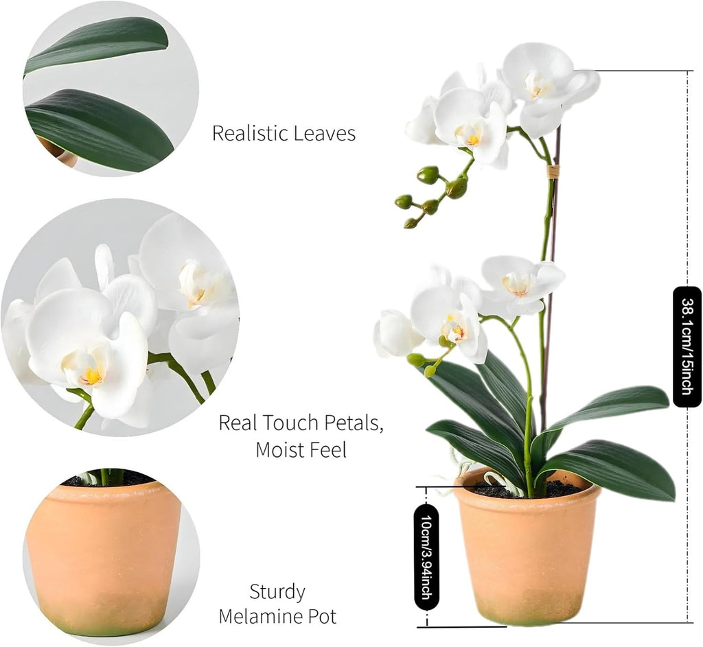 15-Inch Real Touch Artificial Phalaenopsis Orchid in Pot, White