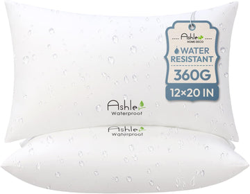 Ashler Outdoor Lumbar Pillows, 12x20 Pillow Inserts - Set of 2
